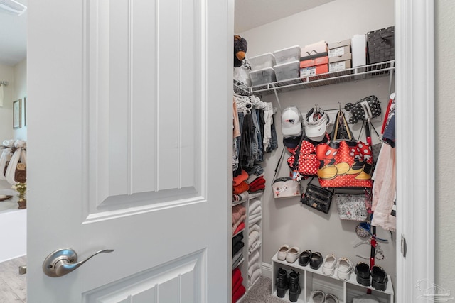 view of spacious closet