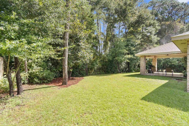 view of yard with a patio area