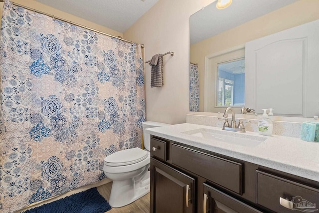 bathroom with hardwood / wood-style floors, vanity, and toilet