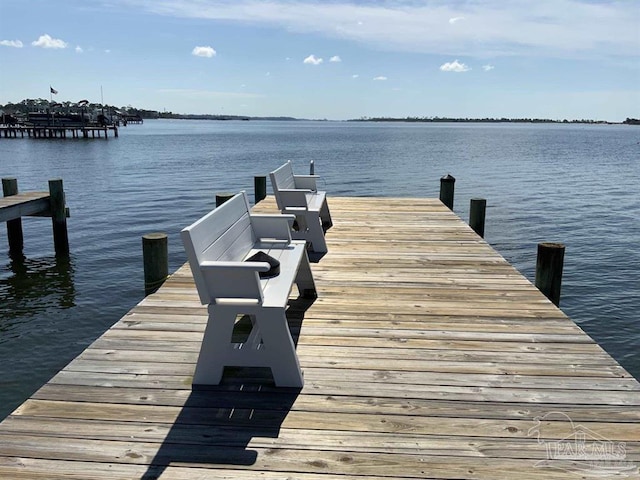 dock area with a water view