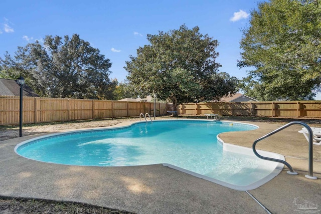 view of pool featuring a patio