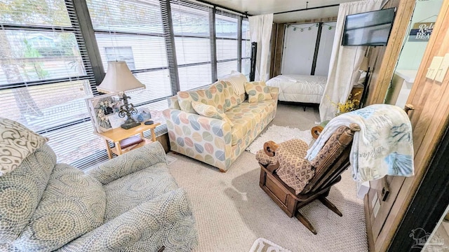 carpeted living room with plenty of natural light