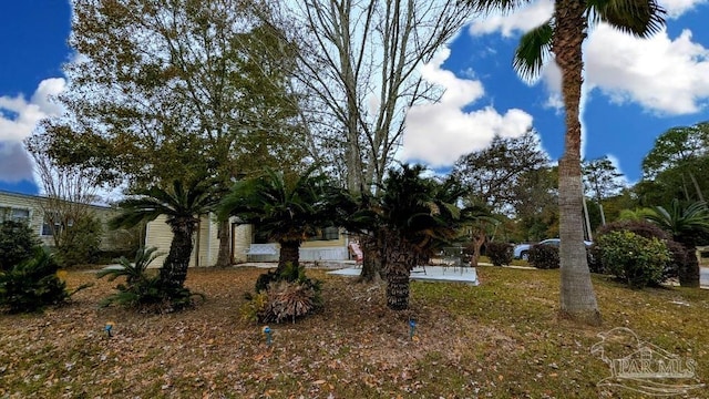 view of yard with a patio