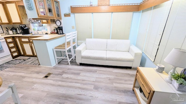 living room featuring light hardwood / wood-style floors and sink