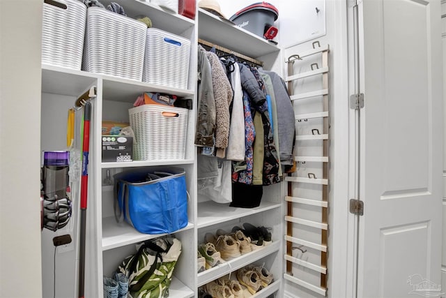 view of spacious closet