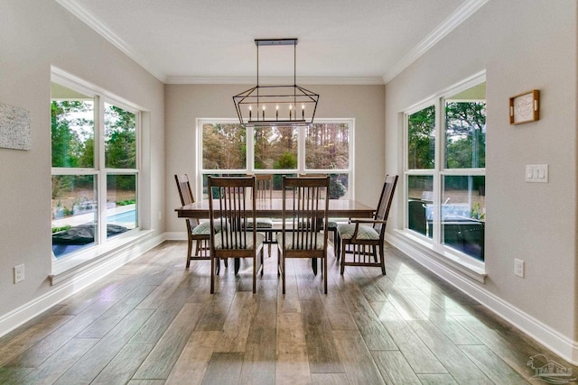 dining space featuring crown molding, hardwood / wood-style flooring, and a healthy amount of sunlight