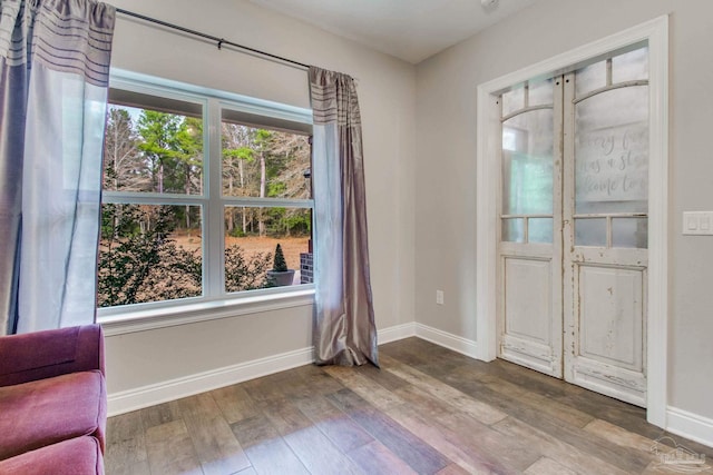 entryway with wood-type flooring