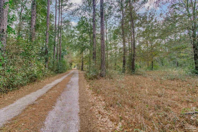 view of road