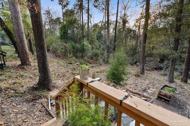 view of yard with a wooded view