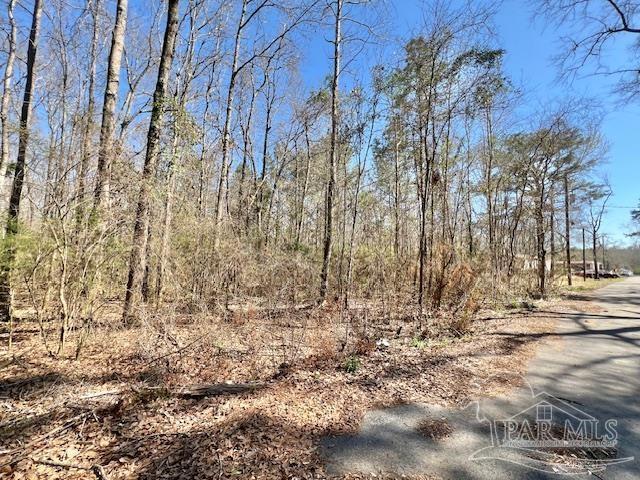 Listing photo 2 for 100BLOCK Shelby Ln, Atmore AL 36502