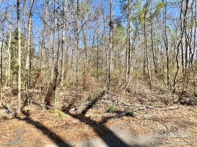 Listing photo 3 for 100BLOCK Shelby Ln, Atmore AL 36502