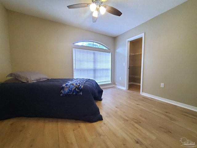 bedroom featuring ceiling fan, a closet, a spacious closet, and light hardwood / wood-style flooring