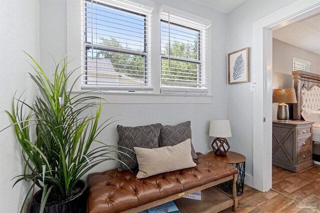 sitting room with wood-type flooring