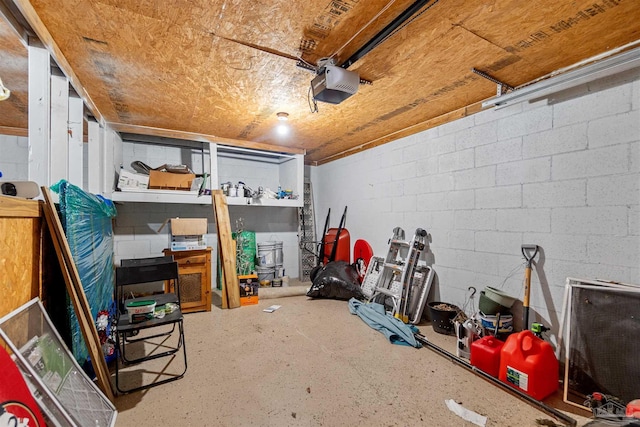 storage featuring a garage