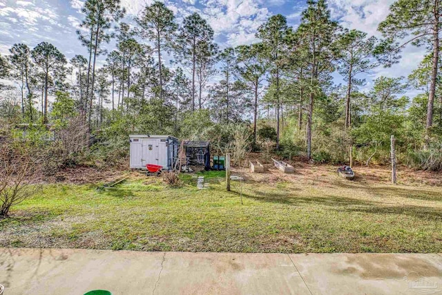 view of yard with a storage unit