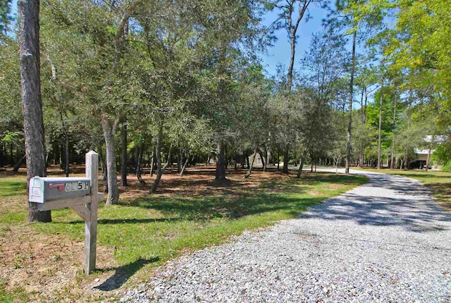 view of property's community featuring driveway