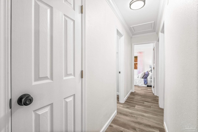 hallway featuring light wood-type flooring and ornamental molding