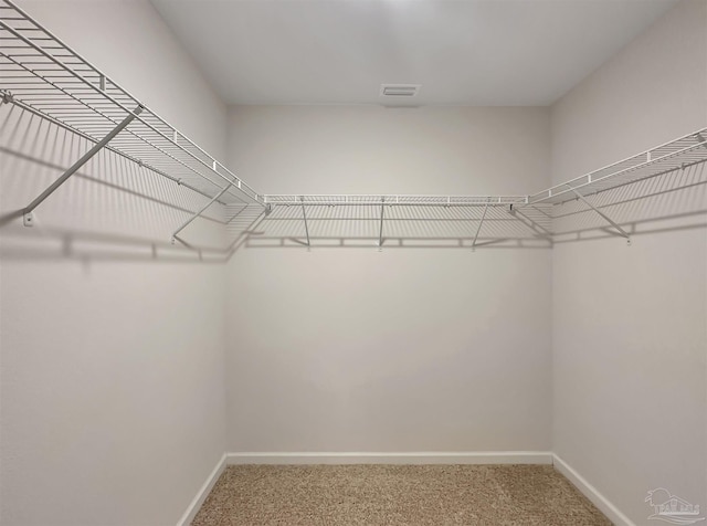 spacious closet featuring carpet and visible vents