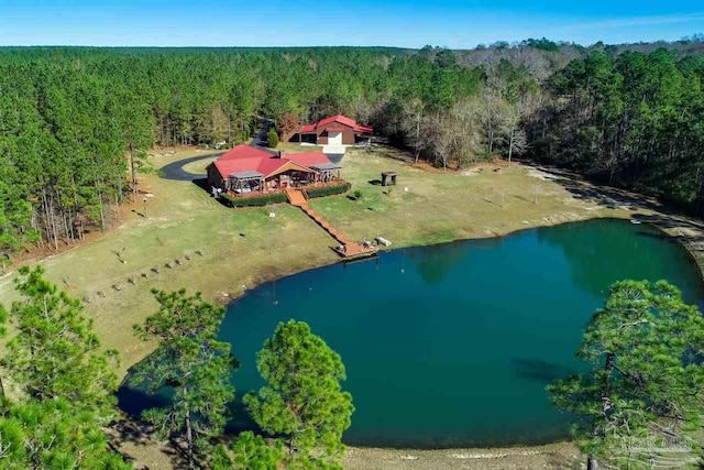 aerial view with a water view