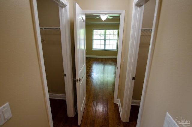 4777 Belvedere Cir, Pace, FL 32571 - hallway with dark wood-type flooring and baseboards