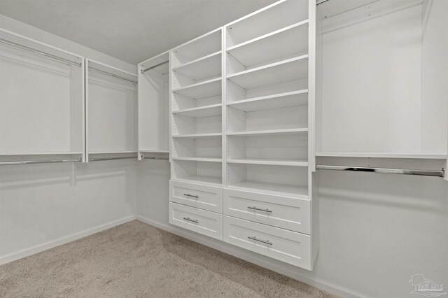 5457 Merlin Way, Milton, FL 32583 - walk in closet with light colored carpet