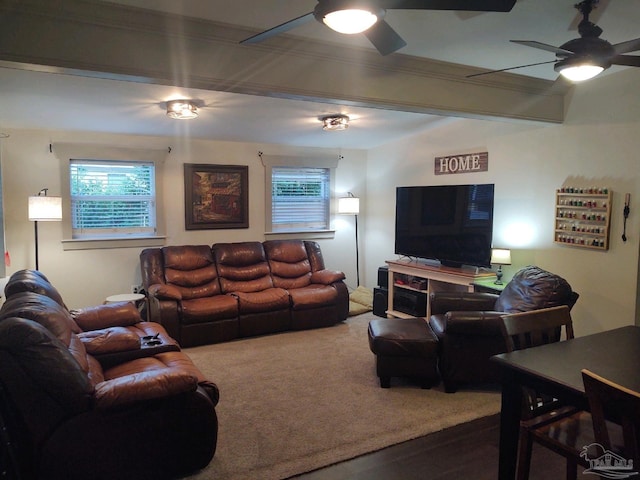 living room with ceiling fan and carpet flooring