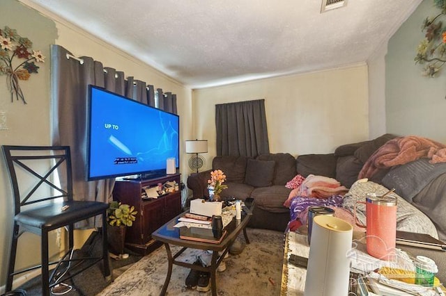 8717 Mayflower Ave, Pensacola, FL 32534 - living room featuring crown molding and a textured ceiling