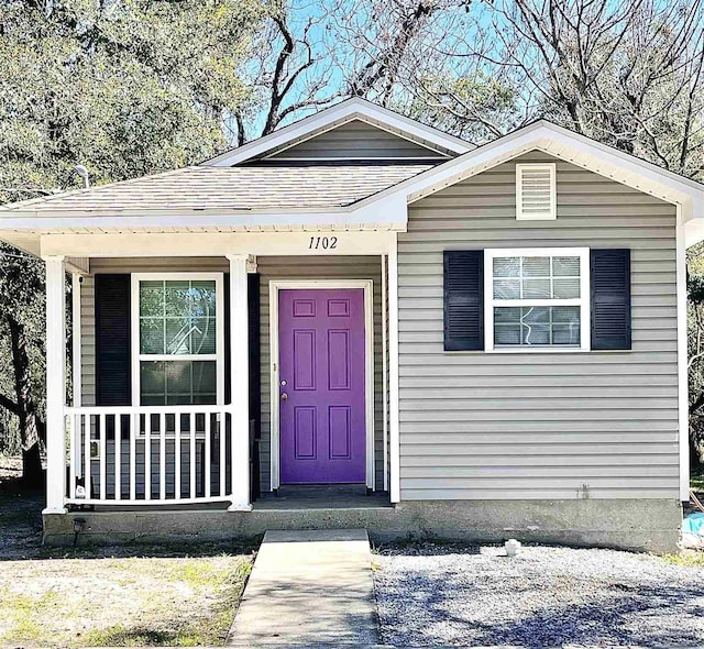 view of exterior entry with covered porch and roof with shingles