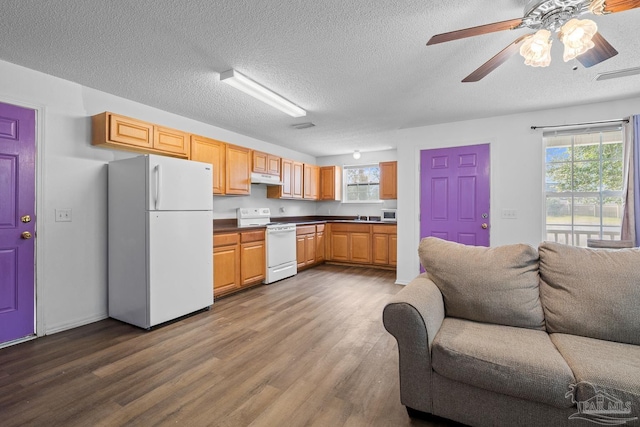 kitchen featuring open floor plan, white appliances, dark wood-type flooring, and under cabinet range hood