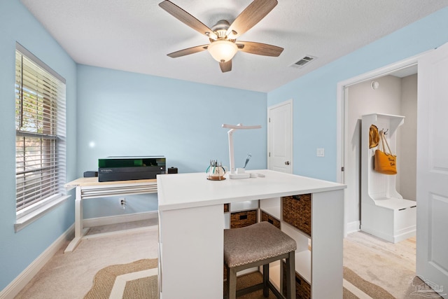 1008 Black Walnut Trl, Pensacola, FL 32514 - home office with ceiling fan, light carpet, and baseboards