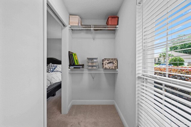 1008 Black Walnut Trl, Pensacola, FL 32514 - walk in closet with carpet