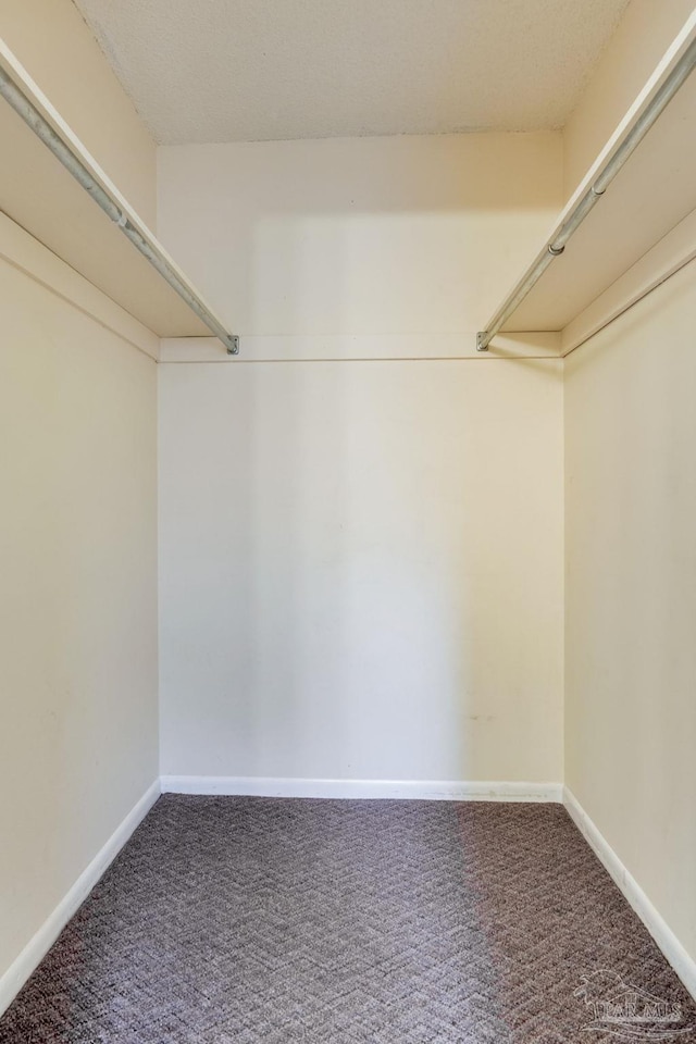 7035 Moore Ave, Pensacola, FL 32526 - spacious closet featuring carpet floors