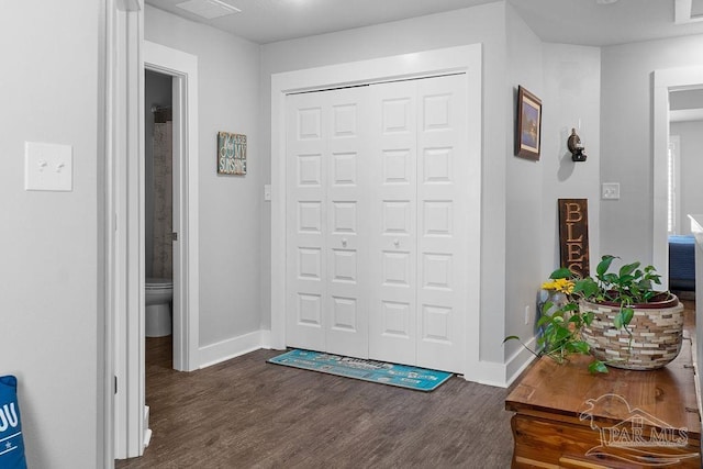 entryway featuring dark wood-type flooring