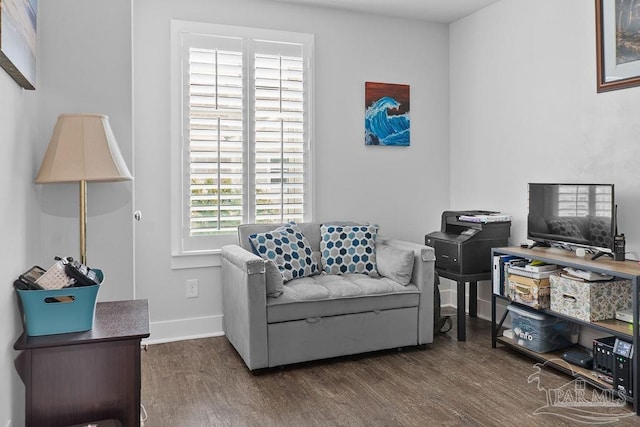 living area featuring dark hardwood / wood-style floors