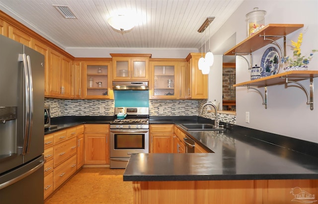 1609 N Spring St, Pensacola, FL 32501 - kitchen with appliances with stainless steel finishes, a sink, under cabinet range hood, open shelves, and a peninsula