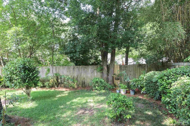 1609 N Spring St, Pensacola, FL 32501 - view of yard