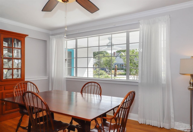 1609 N Spring St, Pensacola, FL 32501 - dining room with wood finished floors, a ceiling fan, healthy amount of natural light, and crown molding