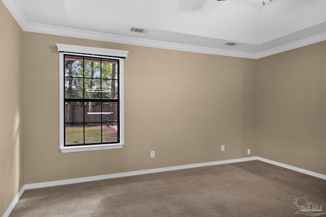 spare room with carpet floors and crown molding