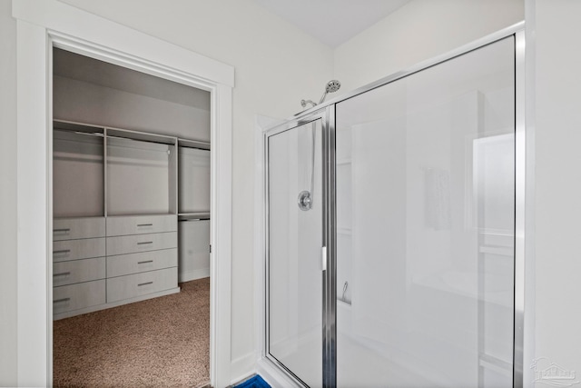 bathroom featuring a shower with shower door