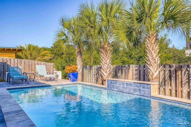 view of pool with a patio area