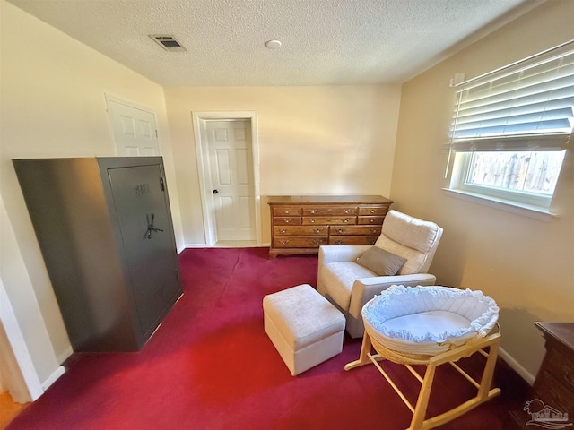 sitting room featuring a textured ceiling and dark carpet