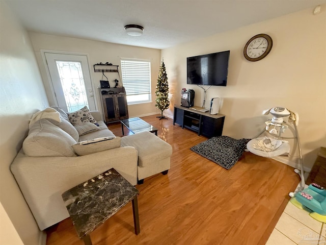 living room with wood-type flooring