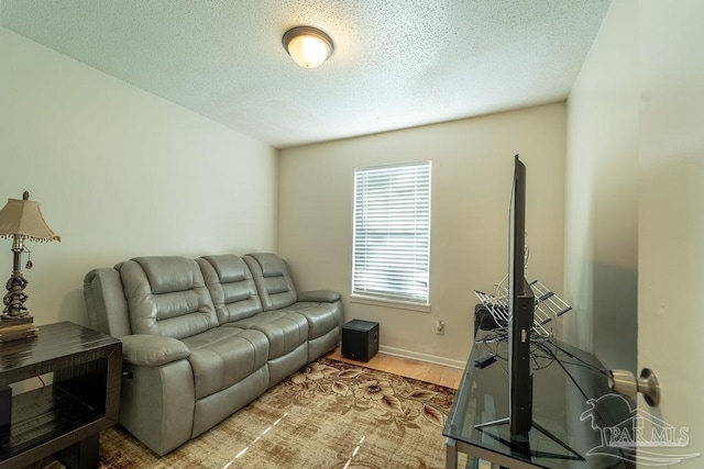 living room featuring hardwood / wood-style floors and a textured ceiling