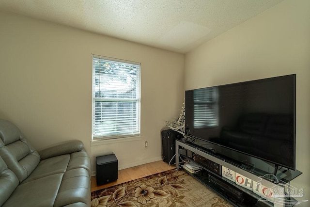 living room featuring wood-type flooring and a textured ceiling