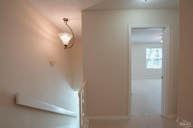 stairway with carpet floors and a textured ceiling