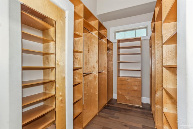 walk in closet with dark wood finished floors