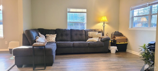 living room with baseboards and wood finished floors