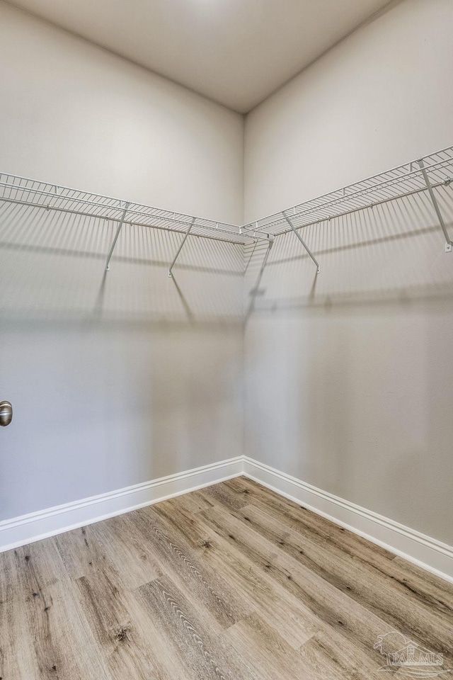 spacious closet with hardwood / wood-style floors