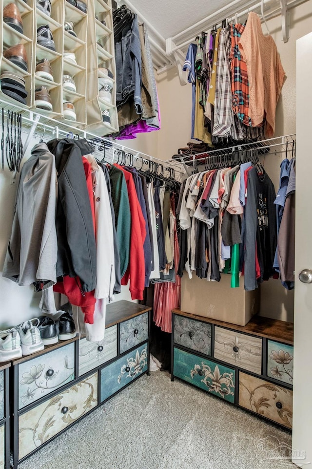 walk in closet featuring carpet floors