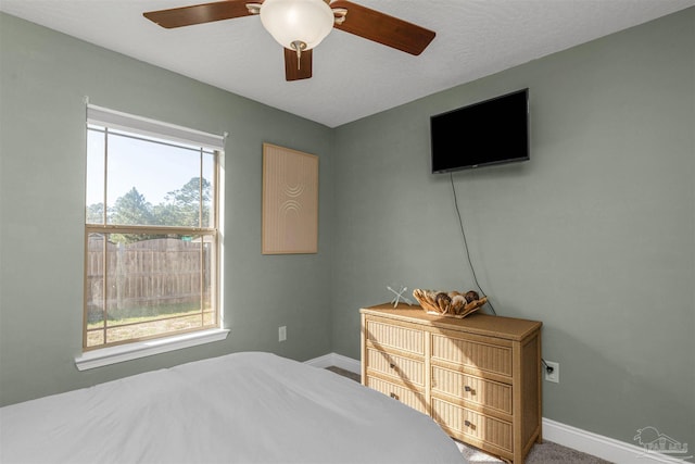 bedroom featuring carpet, ceiling fan, a textured ceiling, and multiple windows